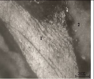 118 Figura 52. Micrografia de uma partícula de SPL com camada Na Figura 52 observa-se uma partícula de carbono (1), e entorno dela uma fase cristalina de cor branca.