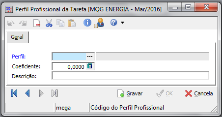 Perfil Profissional Tipos de profissionais que são necessários para a execução do serviço. Perfil Identificador do tipo de profissional necessário.