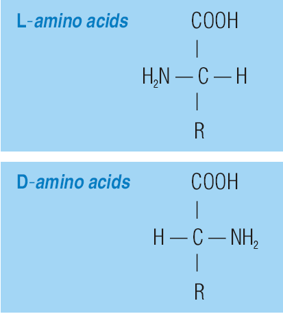 define a utilização de uma ou outra é muito mais a questão econômica e a logística da fábrica e ração, do que as controvérsias de bioequivalência entre a metionina e seus análogos.