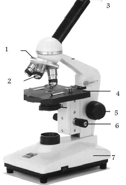 C o nhecimentos Específicos 01 a 30 01. Em microscopia de campo claro, o aumento total do objeto observado é calculado multiplicando-se o valor A) do campo microscópico pelo da objetiva.