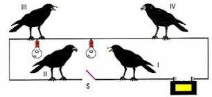 1. Observe os circuitos abaixo. Em qual deles a lâmpada brilhará mais e porquê? 2. Observe os dois circuitos abaixo. As baterias fornecem a mesma voltagem e as lâmpadas são iguais.