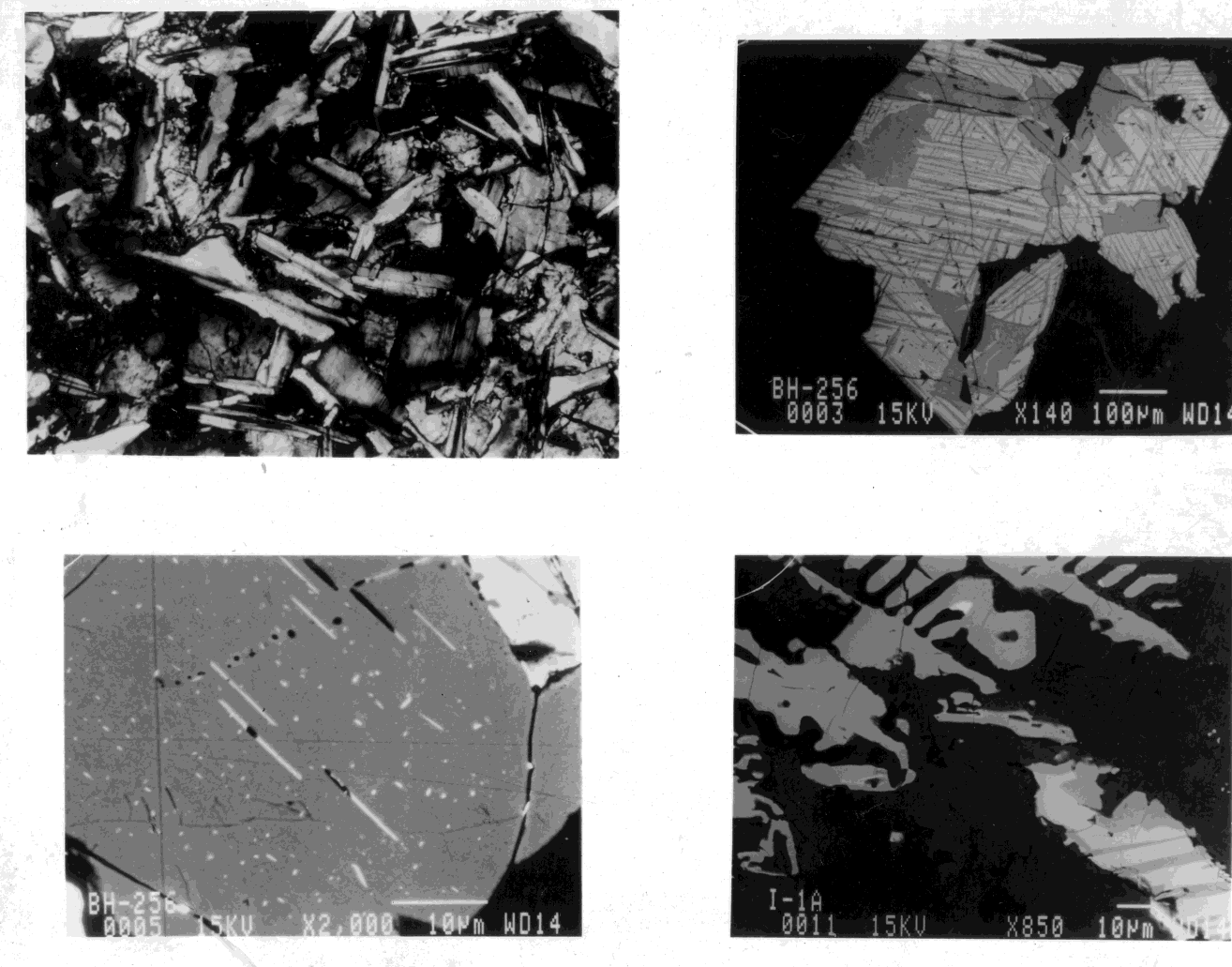 Observação petrográfica (1) (2) (3) (4) 1- Textura sub-ofítica dos plagioclásios e clinopiroxênios.