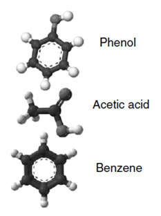 Celulose