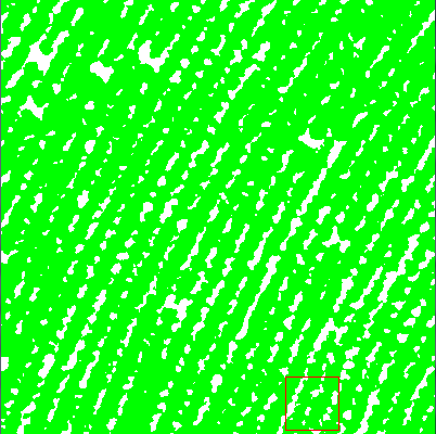 (b) 2) Em seguida os dados foram exportados para o ArcGIS onde foi lançado um grid de 50 x 50 m (0,25ha), e foi calculado o percentual de cobertura de copas (proporção da área de cada pixel coberta