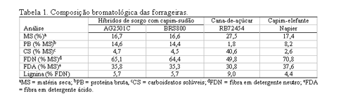 Nos períodos iniciais de incubação, 6 h e 12 h, a cana-de-açúcar apresentou as maiores porcentagens de desaparecimento da MS e o capim-elefante as menores, enquanto os híbridos de sorgo de corte