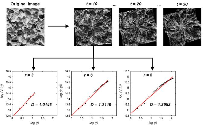 Avaliação de cada padrão de textura A dimensão fractal pode ser calculada para diferentes valores de raio Isso pode ser feito para diferentes tempos de colapso Avaliação de cada