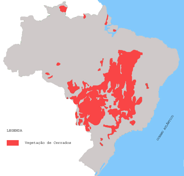 CAPÍTULO 1 INTRODUÇÃO O Cerrado (lato sensu) é considerado um dos biomas com maior superfície e biodiversidade de espécies de flora e fauna do mundo, abrangendo 15 milhões de km 2.