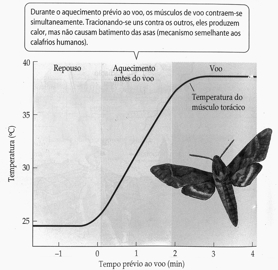 PURVES, W. K. SADAYA, O. ORIANS, G. H. HELLER, H. C. Plantas e animais. Vida: a Ciência da Biologia. 6. ed. Porto Alegre: Artmed, v. III, p. 704, 2009. Adaptado.