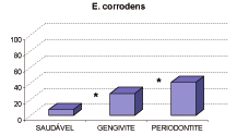 semelhante. Comportamento similar foi observado para E.corrodens (figura 2), T. forshythia (figura 4) e A.