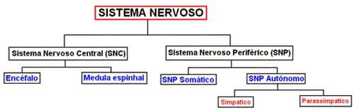 SISTEMA