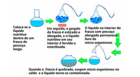 Teorias da vida - Biogênese 1860: o biólogo francês Louis Pasteur conseguir