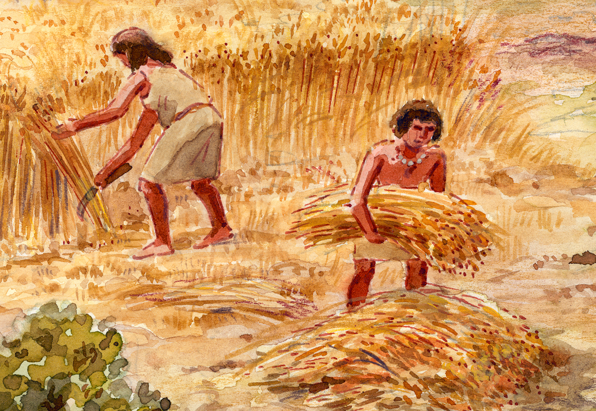 Agricultura neolítica 4.500 a 9.