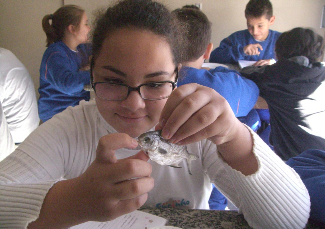 Algumas aulas depois, os alunos observaram que os peixinhos estavam muito secos, mas como