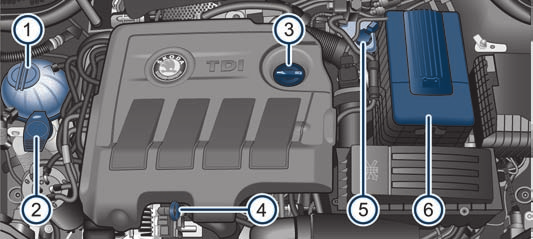 Verificações e reposição dos níveis 209 Nunca abra o capot, se vir que sai vapor ou líquido de refrigeração do compartimento do motor - Perigo de se escaldar!