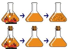 resultados diferentes As infusões preparadas por Spallanzani,