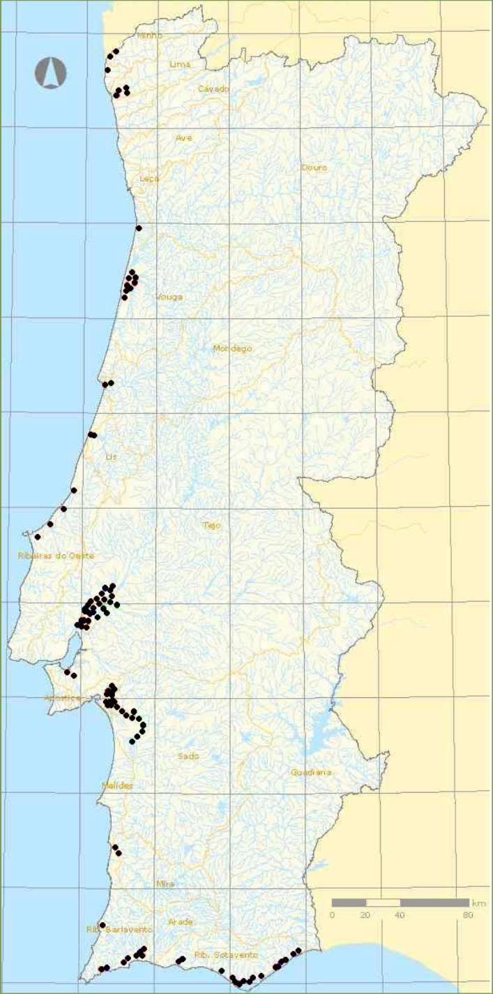 Distribuição dos solos salinos em Portugal - Salinização natural ou primária (100 000 a 120 000 ha), relacionada com toalhas freáticas marinhas e/ou