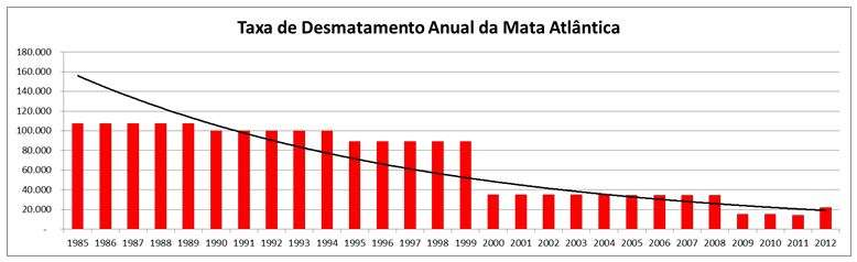 Nos últimos 27 anos, a Mata Atlântica perdeu 1.826.949 hectares, ou 18.