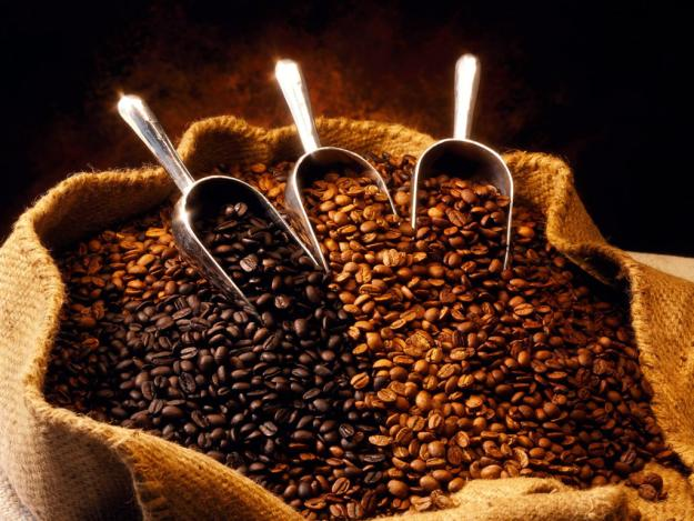 Principais produtores de café Em 2011, os principais produtores de café foram: 1. Brasil - 43.484 milhares de sacos 2. Vietname - 18.500 milhares de sacos 3. Etiópia - 9.804 milhares de sacos 4.