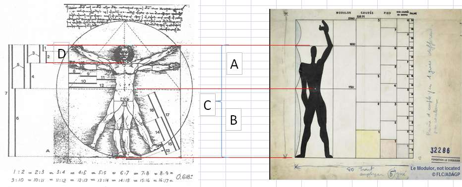 Modulor Homem Vitruviano (cm) Le Corbusier (sec. XX) da Vinci (sec.