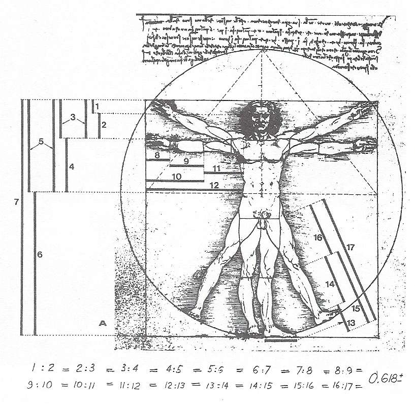 ANTROPOMETRIA O SER HUMANO COMO MEDIDA DAS COISAS Conforto Ambiental I: Ergonomia e Antropometria - Profª Claudete Gebara J.