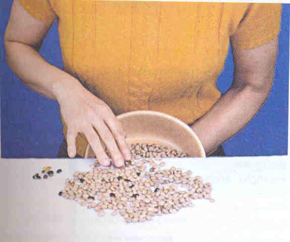 É utilizada na separação de grãos bons e ruins de feijão, por exemplo, e também na separação dos