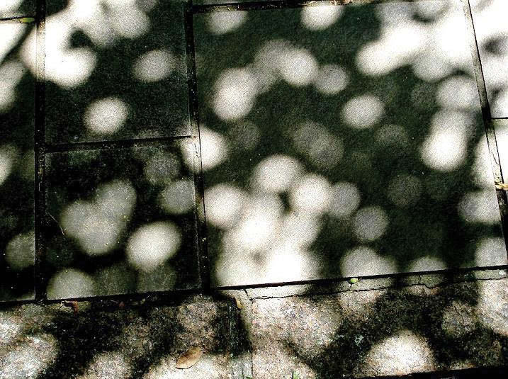 I. Introdução Quando a luz solar que passa entre as folhagens das árvores incide no chão ou em paredes, é comum se observar manchas luminosas com formas arredondadas.
