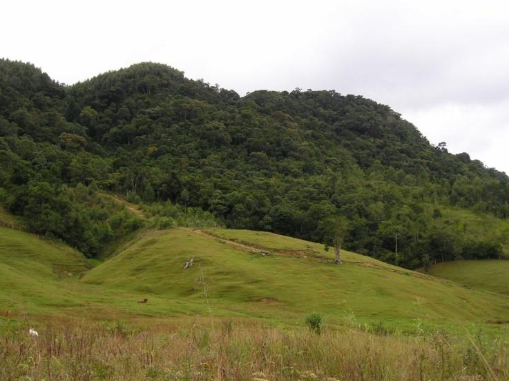 Figura 7: Depósitos coluviais na área de estudo, evidenciando escorregamentos 15 que iniciaram nas escarpas areníticas, ao fundo, e se depositaram na base das encostas, constituindo depósitos de