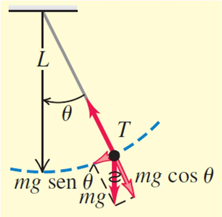 g L Eq. 7 f g L Eq. 8 f L g Eq. 9 Figura 6 dinâica de u pêndulo siples.