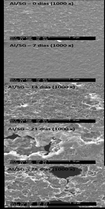 A partir de 1 dias as amostras já estão claramente deterioradas sendo possível observar trincas e diversos orifícios e fragmentação das amostras, e após 35 dias não foi