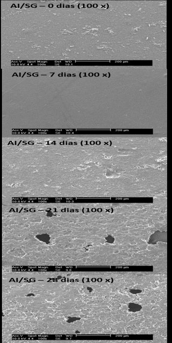 descarte. Figura 3. Micrografias de MEV (x e x) das amostras AI/SG e AI/GP após, 7,, 1 e dias de biodegradação em solo.