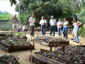 3 SÍTIO PEDAGÓGICO ESTAÇÃO DE PERMACULTURA O projeto do Sítio Pedagógico a estação de permacultura na escola será desenvolvido com a finalidade de criar um experimento piloto de Auto-gestão