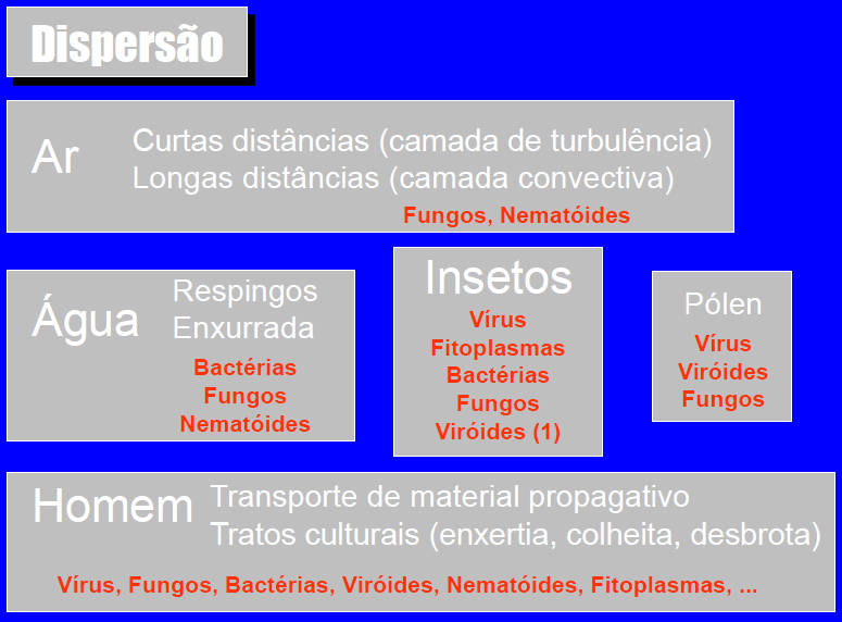 O ciclo das