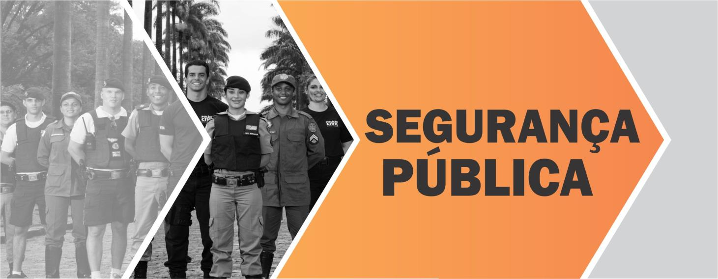Estabelecer parceria com os órgãos da Segurança Pública Estadual, Polícia