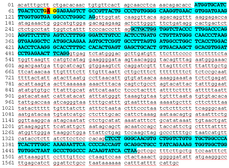 Agrupamento génico da β globina (11p15.