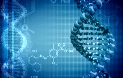 DUPLICAÇÃO DO DNA SÍNTESE DE RNA :