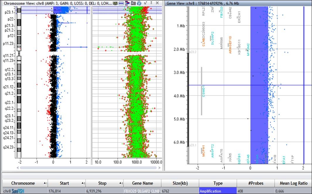 43 com 6762 kb, envolvendo os genes FBXO25, DLGAP2, CLN8, ARHGEF10, MYOM2, CSMD1, MCPH1, ANGPT2, DEFB1, DEFA6, DEFA4, DEFA1, DEFA5, RPL23AP53, ZNF596, C8orf42, ERICH1, LOC286083, MIR596, KBTBD11,