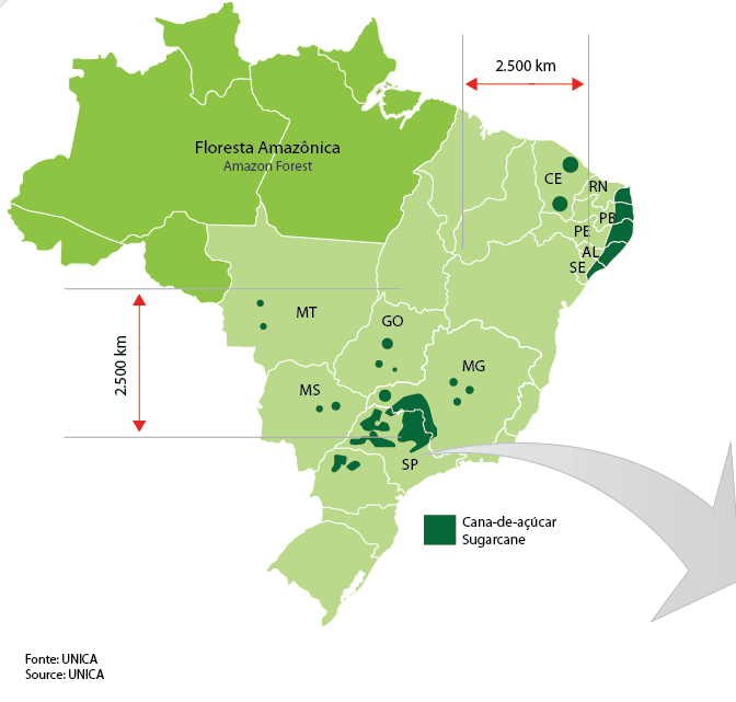 Cana no Brasil REGIÃO NORTE