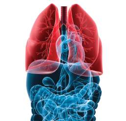 CAPÍTULO 3 Espirometria Clássica Resumo A espirometria reúne um conjunto de métodos de estudo da ventilação, de amplo interesse e de fácil realização, baseada nas relações entre volumes de ar e o