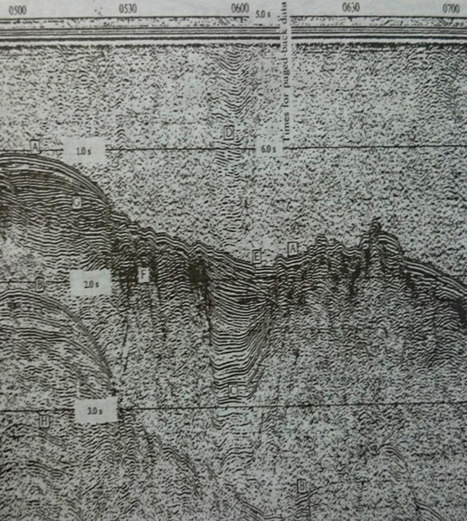 35 do outro. Os receptores captam o pulso e mandam a informação para o sismógrafo, que por sua vez faz o registro sísmico, representado em forma de mapa como mostrado na figura 9.