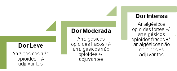 Figura 1: Protocolo analgésico progressivo da Organização Mundial da Saúde Os analgésicos não opioides utilizados confome visto no gráfico 1 foram, dipirona e paracetamol.