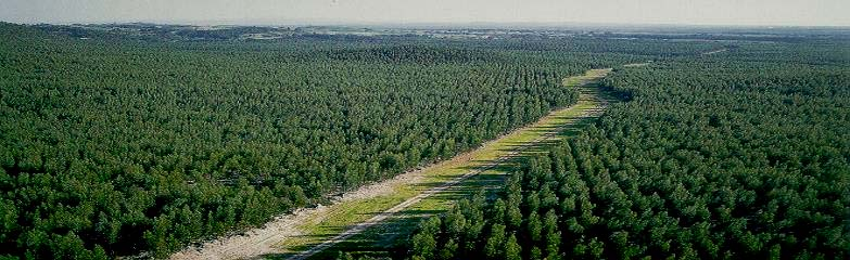 1. O Grupo Portucel Soporcel FLORESTA Maior proprietário/ gestor florestal privado em Portugal ( 1,3 % do território nacional) 120.