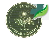 A terapia Floral foi desenvolvida na década de 1930 pelo médico inglês Dr Edward Bach, que pesqu Abaixo são listados as composições para cada tipo de necessidade.