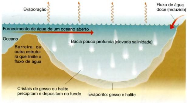 Característicos de ambientes quentes e secos.