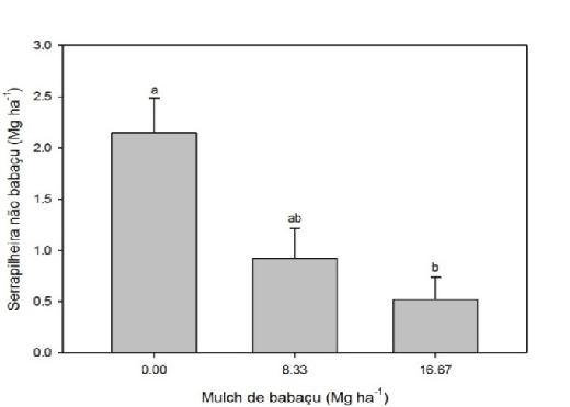 FIGURA 1. Diferenças na quantidade de serapilheira não babaçu acumulada entre os diferentes tratamentos.