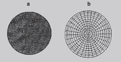66 Em estudos comparativos entre extrusores de rolo e rosca-sem-fim, foram obtidas diferenças na esfericidade e na uniformidade de tamanho das partículas dos grânulos (GANDHI et al.
