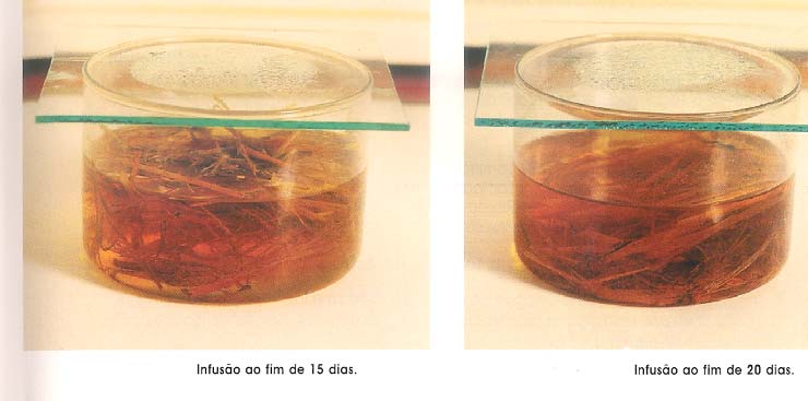 Compreender os princípios de funcionamento do MOC; 4. Realizar correctamente diferentes técnicas de preparação de material para observação microscópica; 5.