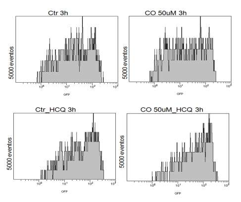 Resultado e Discussão Resultados e Discussão Figura 4.8. Imagem de gráficos de citometria de fluxo de monóxido de carbono como indutor de autofagia em células HeLa GFP-LC3.
