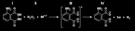 É proposto que, na reação do luinol (I) e eio alcalino, na presença de peróxido de hidrogênio (II) e de u etal de transição (M(n) + ), fora-se o coposto 3-ainoftalato (III) que sofre ua relaxação
