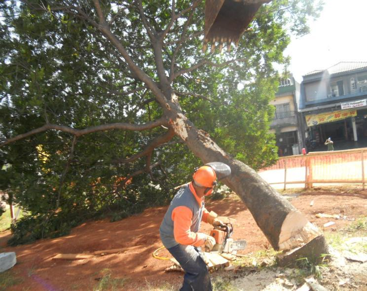 OBRIGAÇÕES AMBIENTAIS DO TCA CORTE