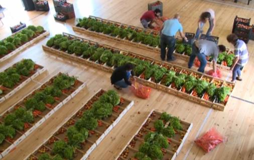 fruto-hortícolas feios, montar cabazes e vendêlos aos consumidores associados à